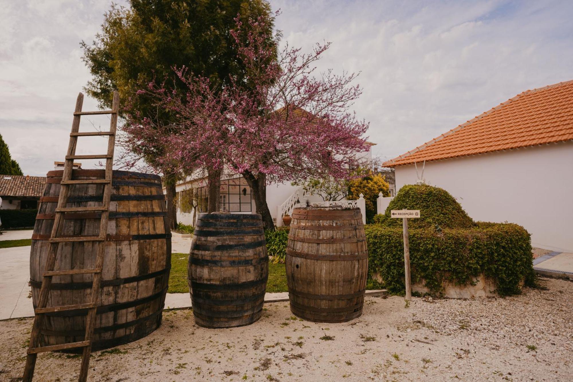 Quinta Carvalhas - The Green Farm Hotel Casevel Buitenkant foto