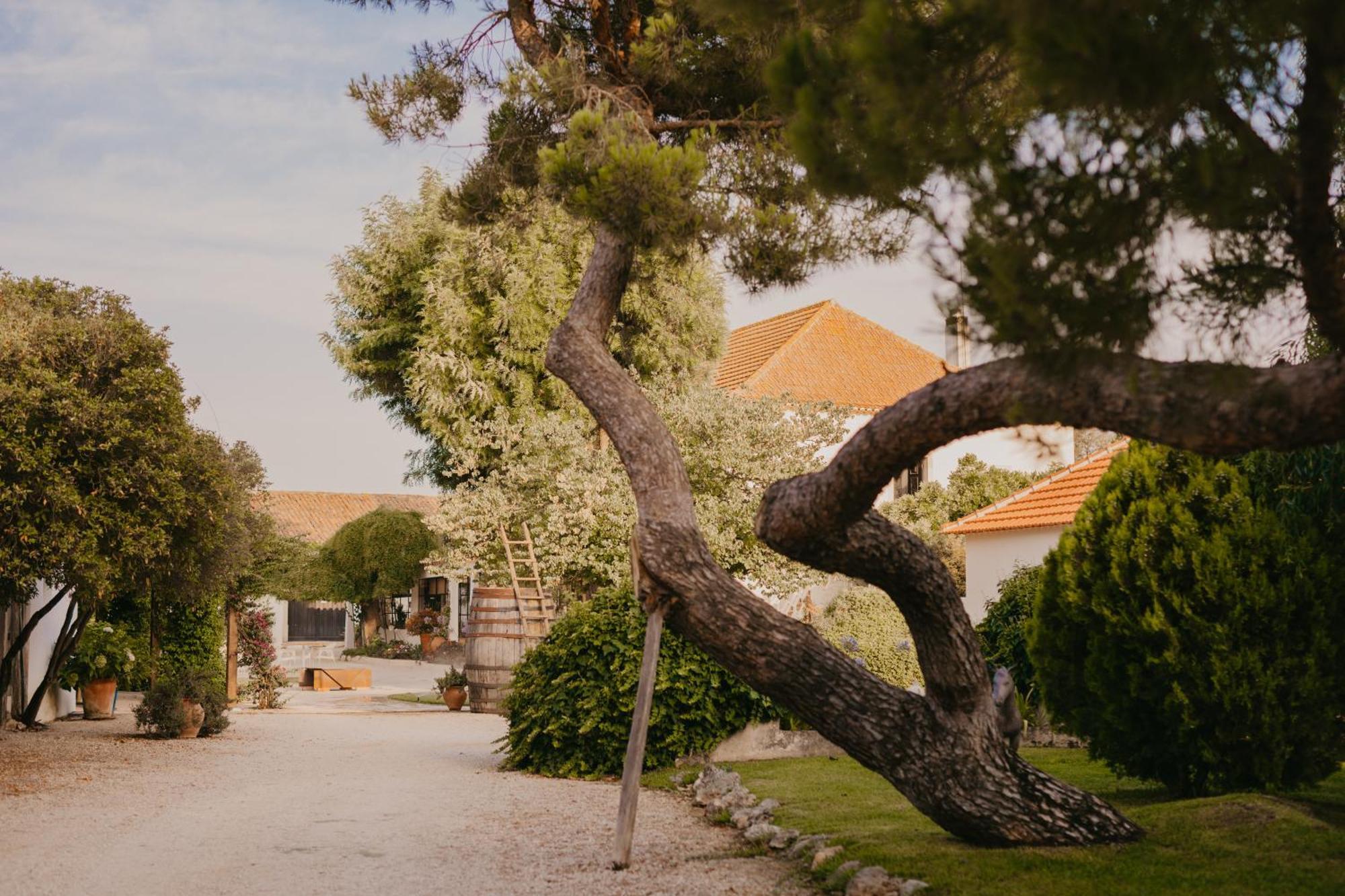 Quinta Carvalhas - The Green Farm Hotel Casevel Buitenkant foto