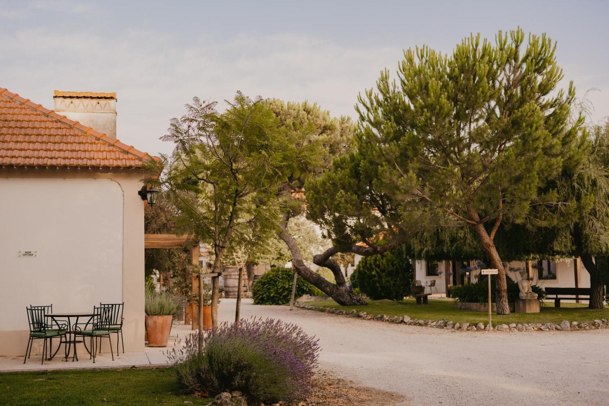 Quinta Carvalhas - The Green Farm Hotel Casevel Buitenkant foto